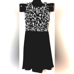 Elegant Black and White Embroidered Dress